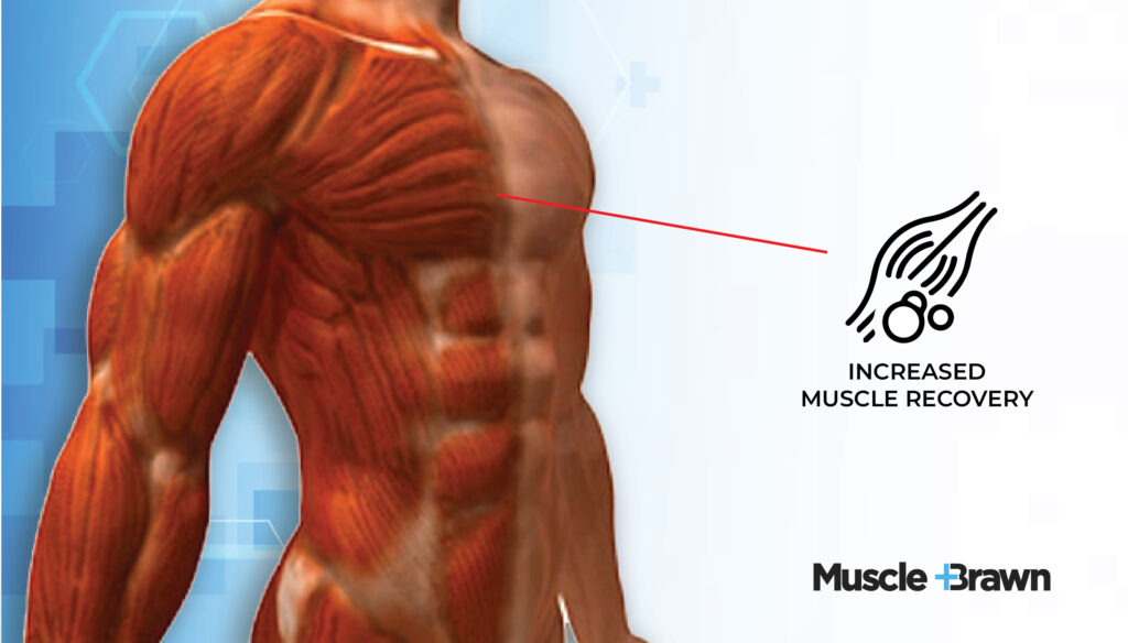 Steroids vs Natural Recovery