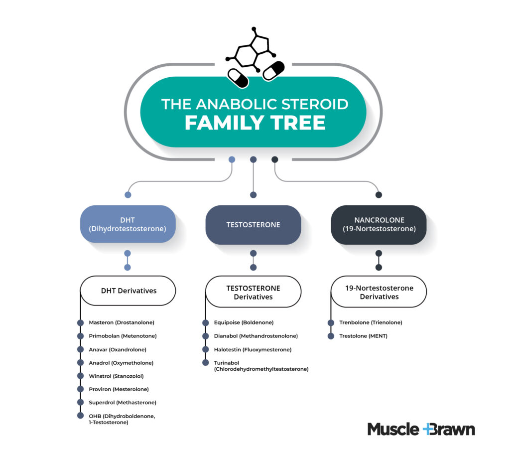 Anabolic Steroid Family Tree