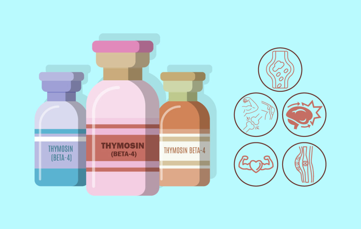 Thymosin_Beta_4-01