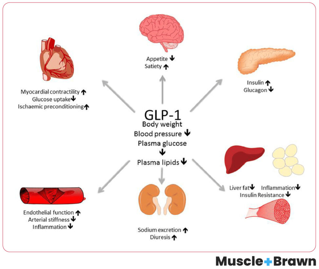 Semaglutide Sources
