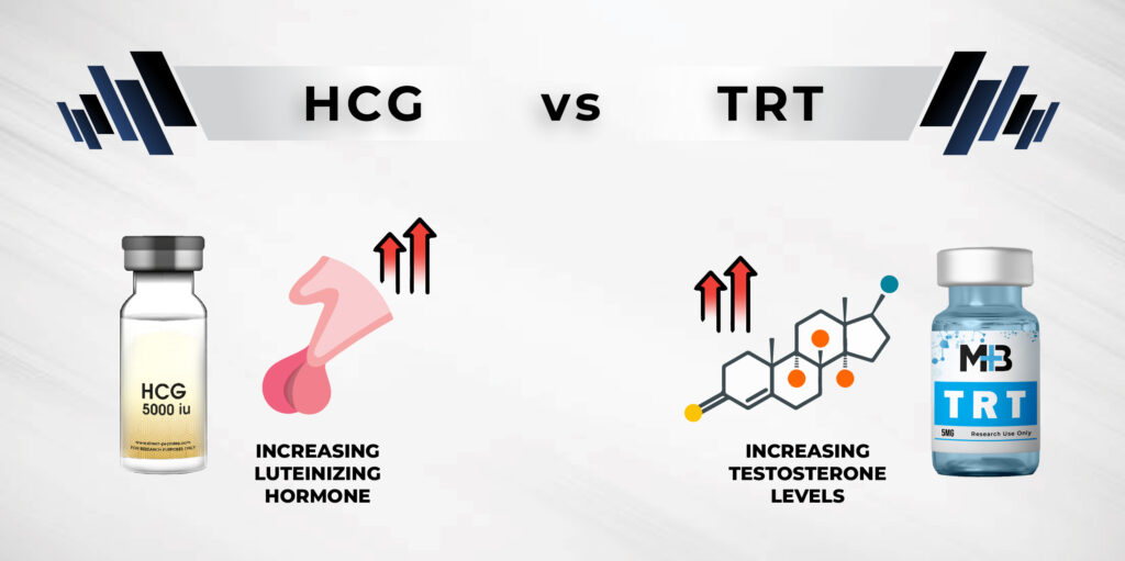 Difference between HCG vs TRT