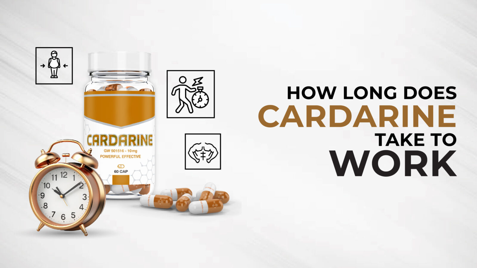How long does Cardarine take to work