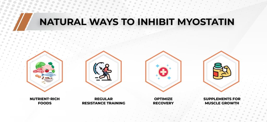 Natural ways to inhibit myostatin 