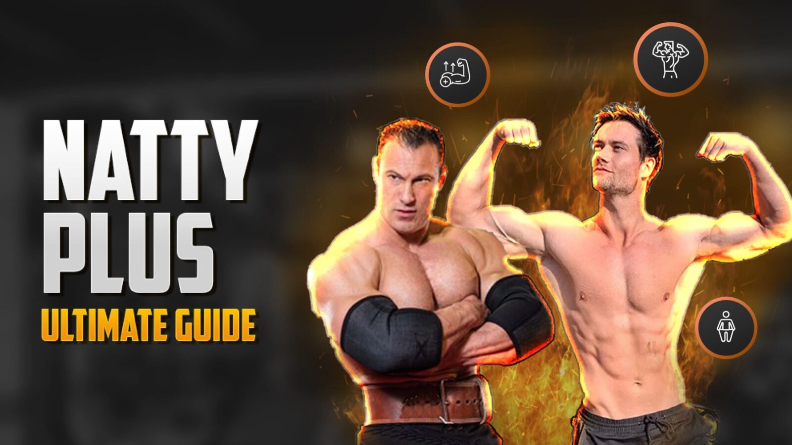 Natty Plus Protocol Ultimate Guide