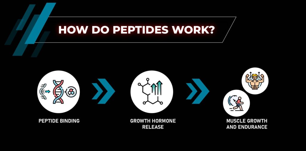 How do the best peptides for endurance athletes work