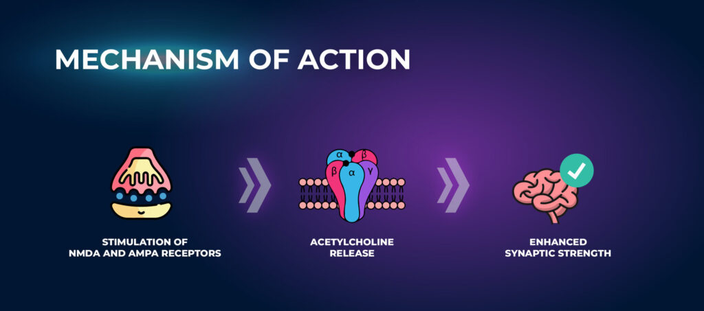 Mechanism of Action - Sunifiram