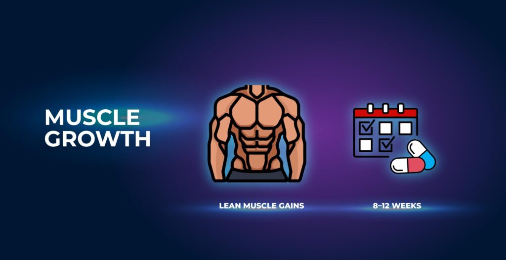 Muscle Growth - MK-677