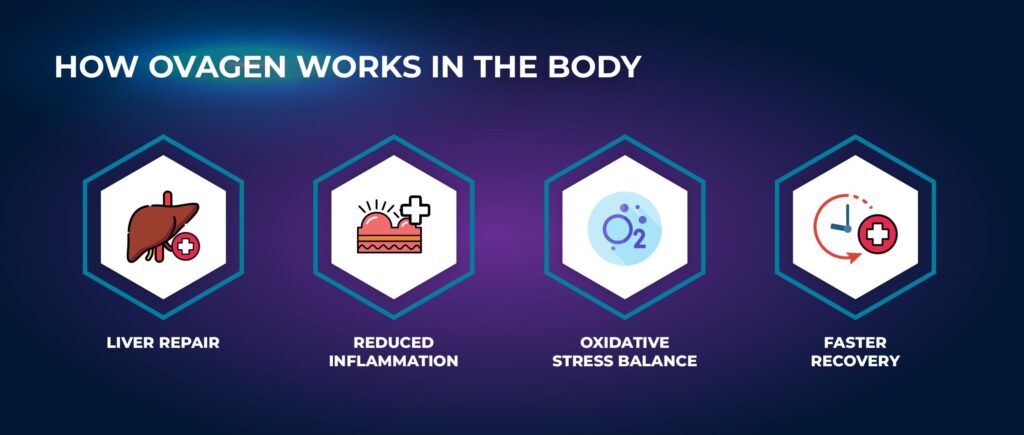 How Ovagen works in the body