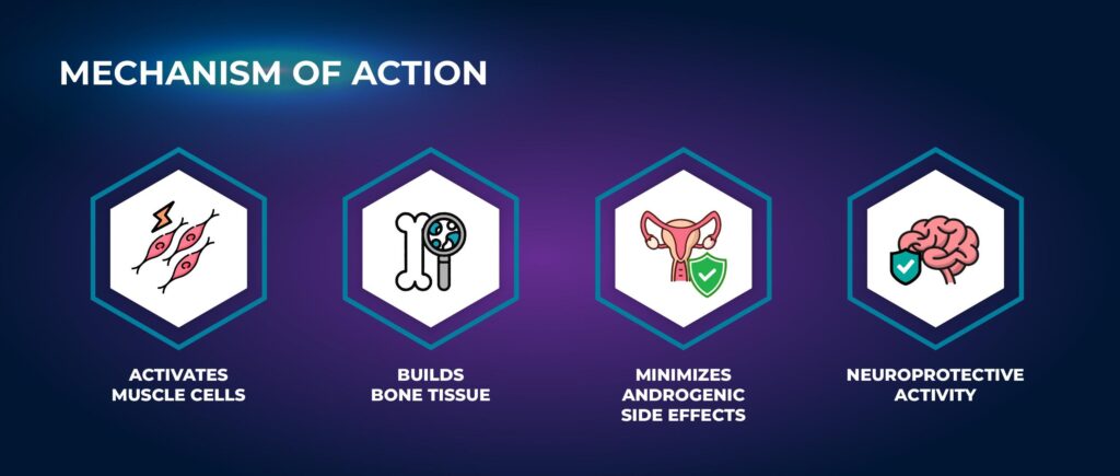 Mechanism of Action - RAD-140